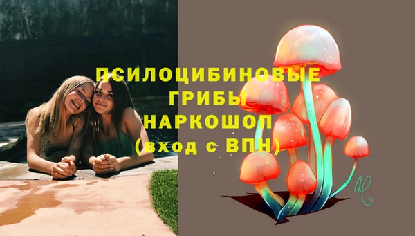 амфетамин Алексеевка