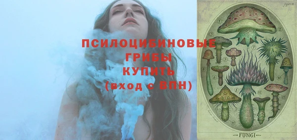 бошки Алзамай