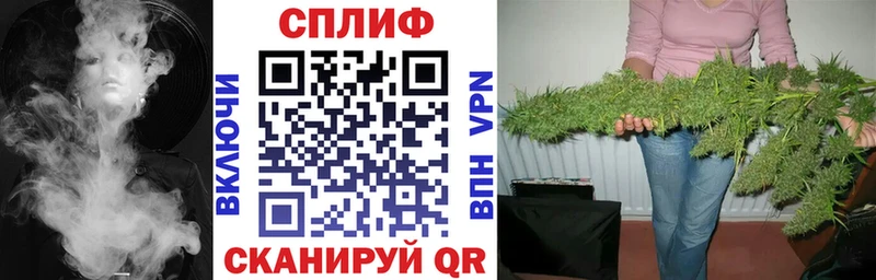 Каннабис ГИДРОПОН Лермонтов